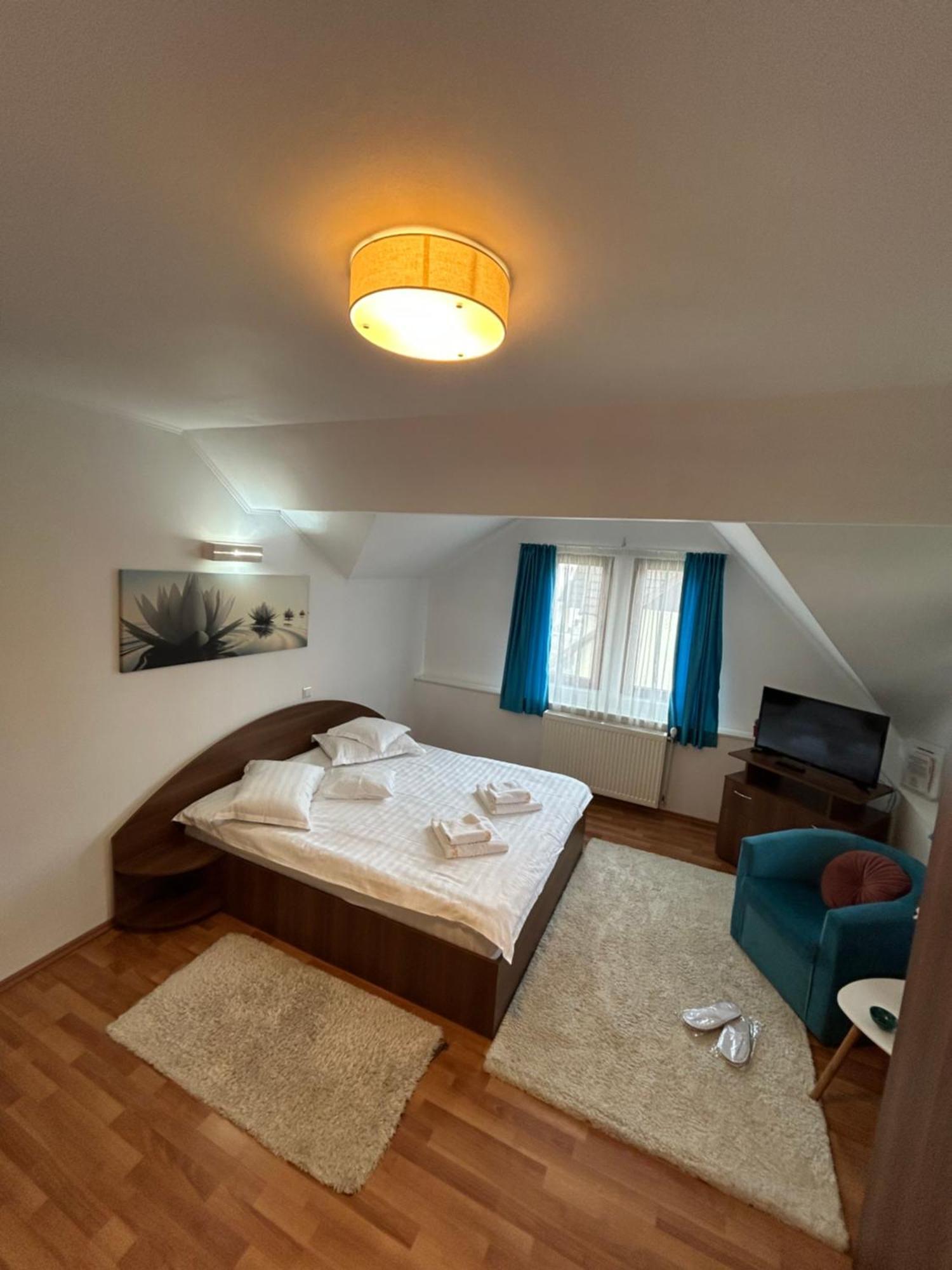 Hotel Casa Ador à Sinaia Extérieur photo